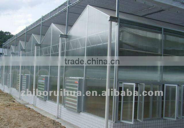 Polycarbonate PC Sheet Multi-span Greenhouse