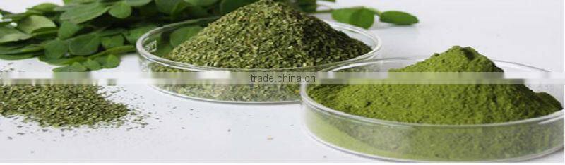 Moringa Leaf Powder