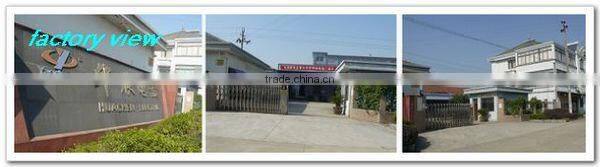 Wireless Mini MegaphoneWith Recorder