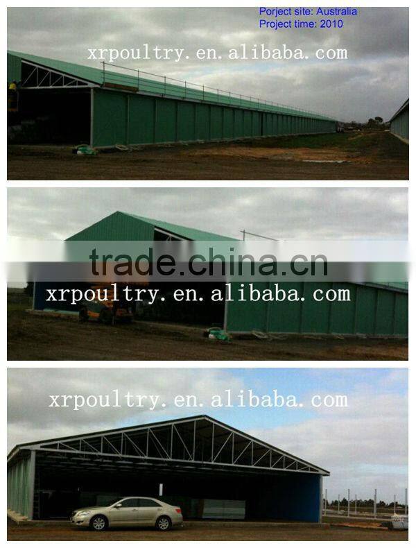 Hot-sale chicken cage equipments for egg chicken