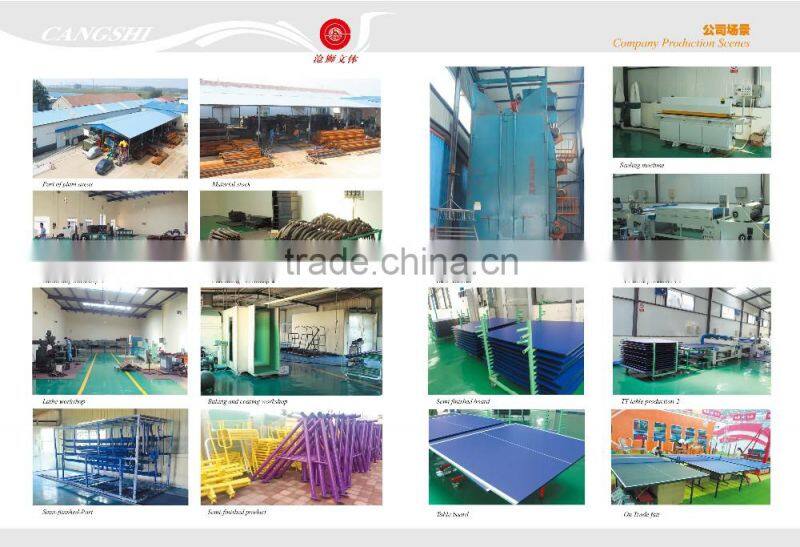 15mm/18mm/25mm foldable table tennis/pingpong table
