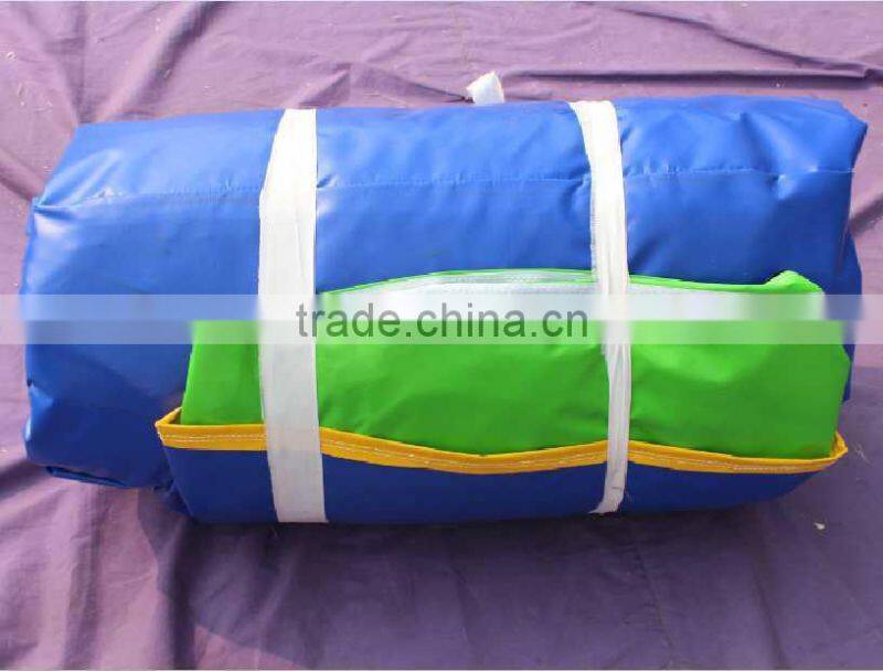 Hola giant dolphin inlfatable water slide for sale