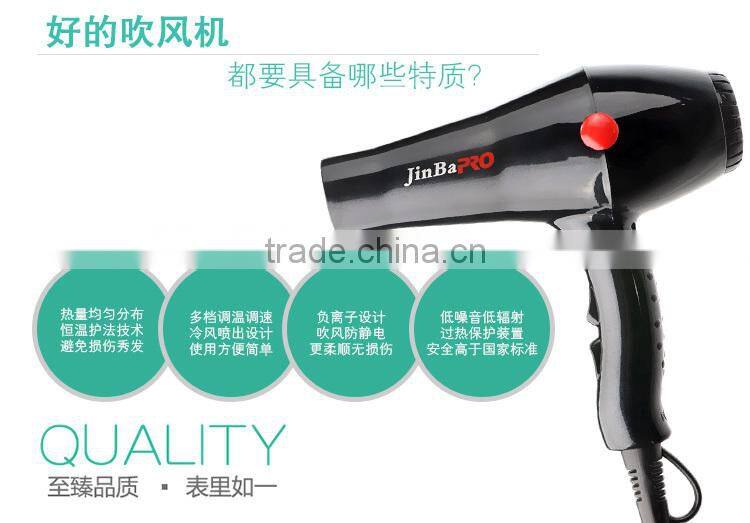 Professional DC motor AC motor Hair Dryer