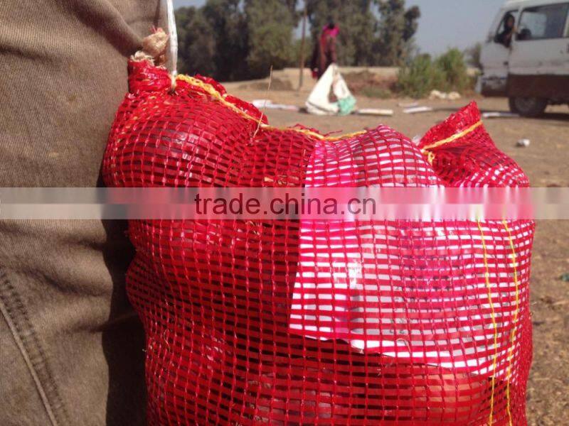 fresh onion from egypt high quality