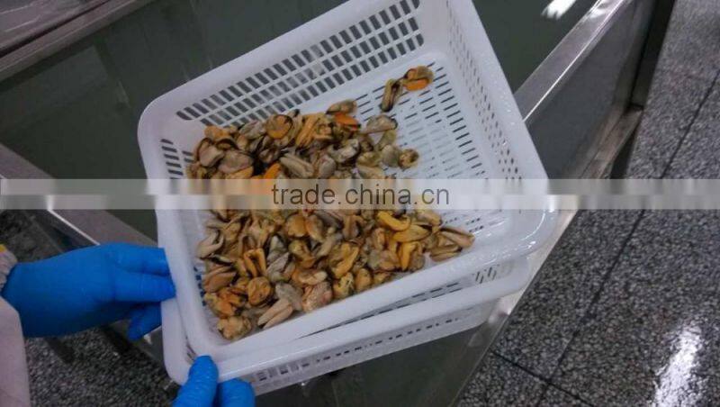 China seafood exporter frozen mussel boiled meat