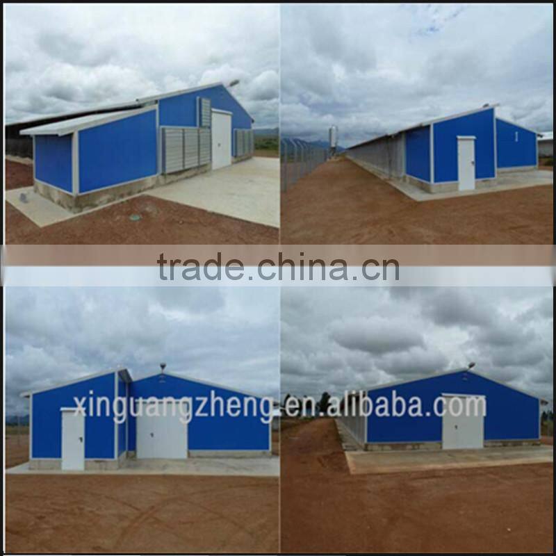High quality Poultry Broiler and layer house
