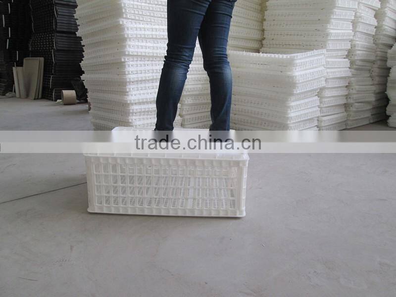 chicken transport trays