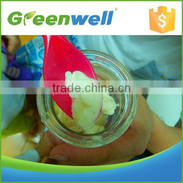 GREENWELL 2 easy operation original patent yogurt machine