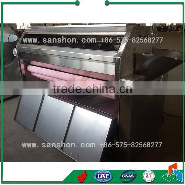 Hotsell Industrial Potato Washing and Peeling Equipment/Taro Peeler