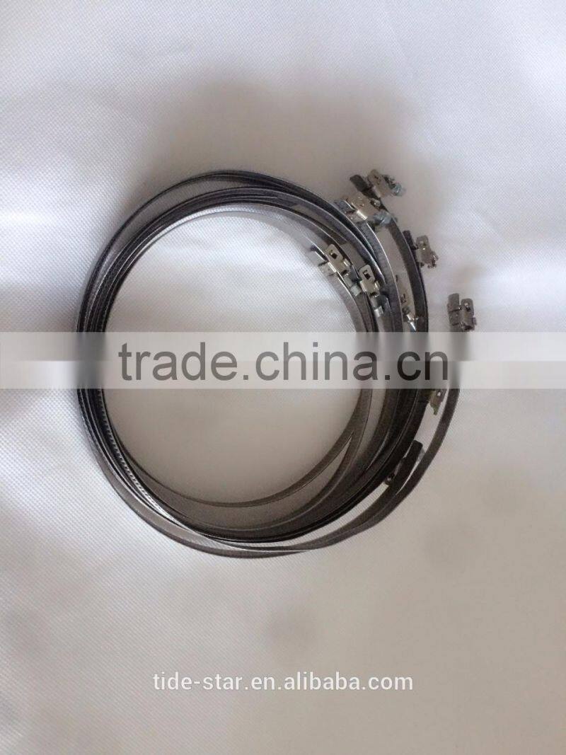 Hot Selling Quick Release Clamp (Jubilee Clamp)