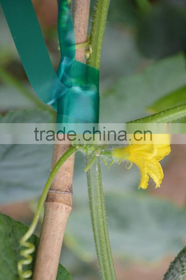Garden And Vineyard Use PE PVC Binding Tape