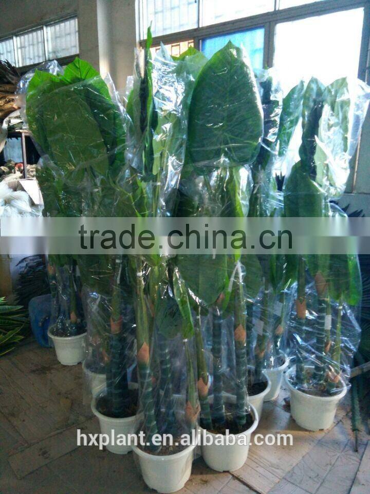 Banyan leaves. artificial Banyan leaves. ficus tree plants