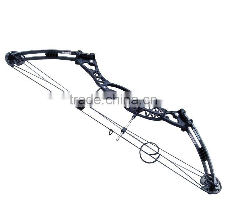 Archery hunting compound bow,AMBIDEXTROUS BOW
