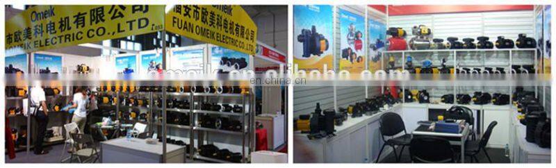 ML series 70w motor small induction motor single phase 300w