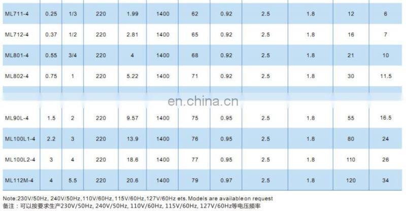 ML series 70w motor small induction motor single phase 300w