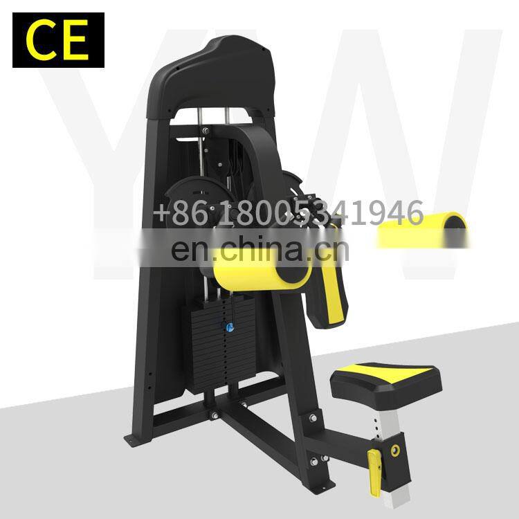 Factory directly supply commercial gym machine Precor equipment Lateral Raise