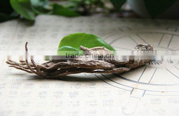 Angelica,Angelica sinensis,Chinese angelica,Food seasoning