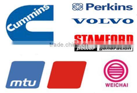 Singfo High Performance Professional Dynamo Diesel Engine