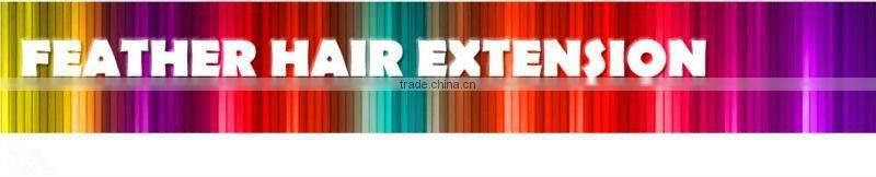 Striped Synthetic Feather Hair Extension