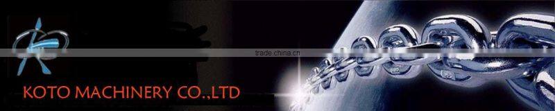 manual vital Chain Hoist