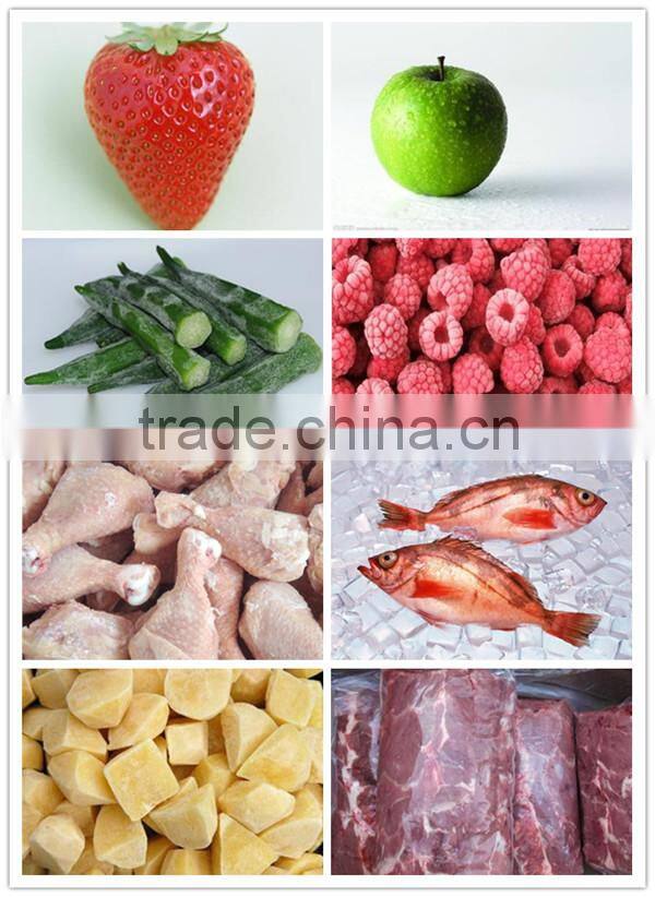 Acfri tunnel freezer