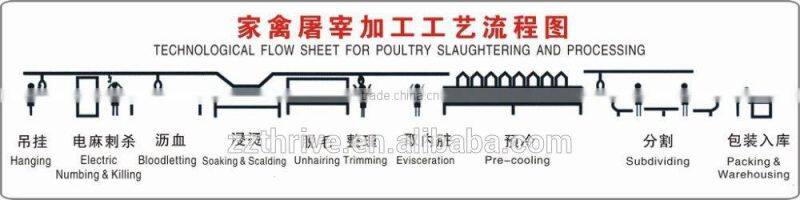 Long time working chicken feather removal machine for removal feather/chicken slaughter machine