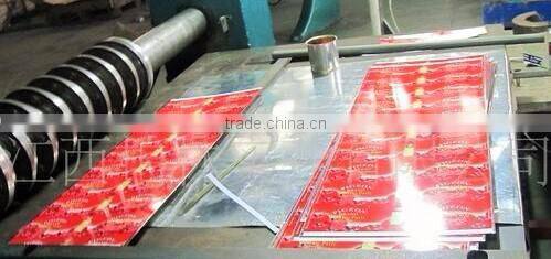 70g Canned Tomato Paste, Sachet Tomato Paste.Tomato Sauce, ketchup.