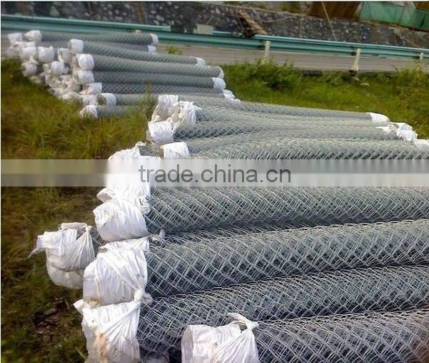 Galvanized /Vinyl Coated Pvc Coated Chain Link Fence Price/Chain Link Fabric