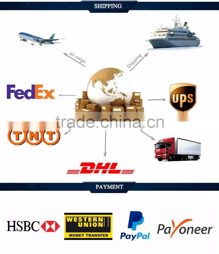 New Arrive 800 Lumens Portable Multimedia 800*480 Native Resolution 4 Inch LCD Full HD Digital LED Projector Home Theater