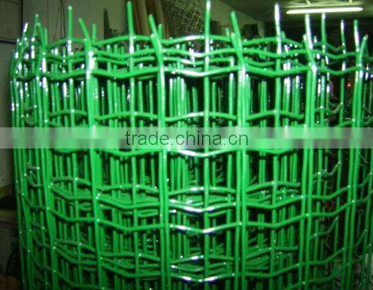 Euro Fence Mesh Rolls(Direct Factory)