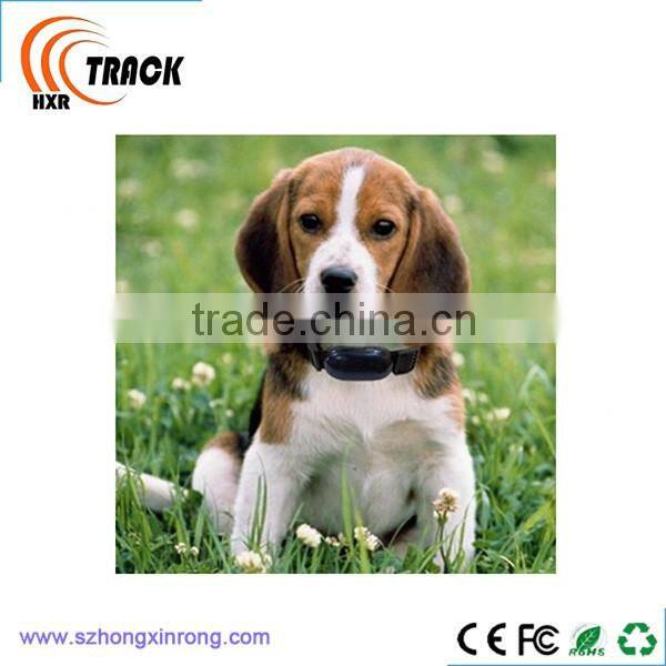 Stable and waterproof mini personal gps tracker with Long Life Battery