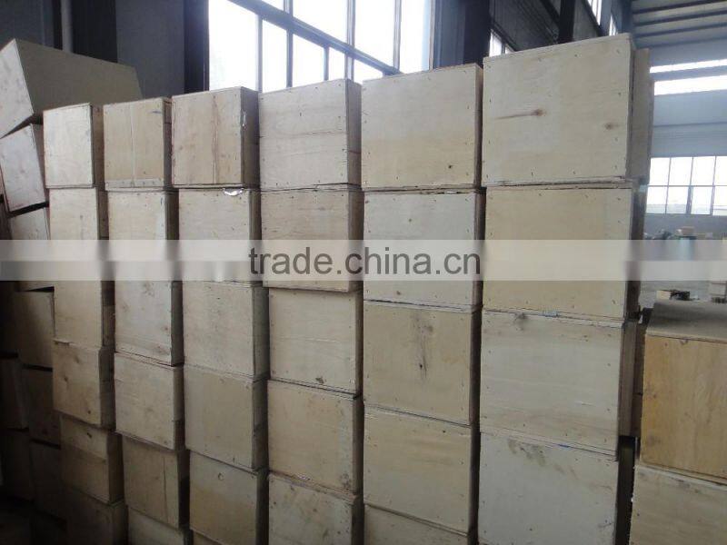 Portable 380v DHS type electric chain 3 ton hoist crane