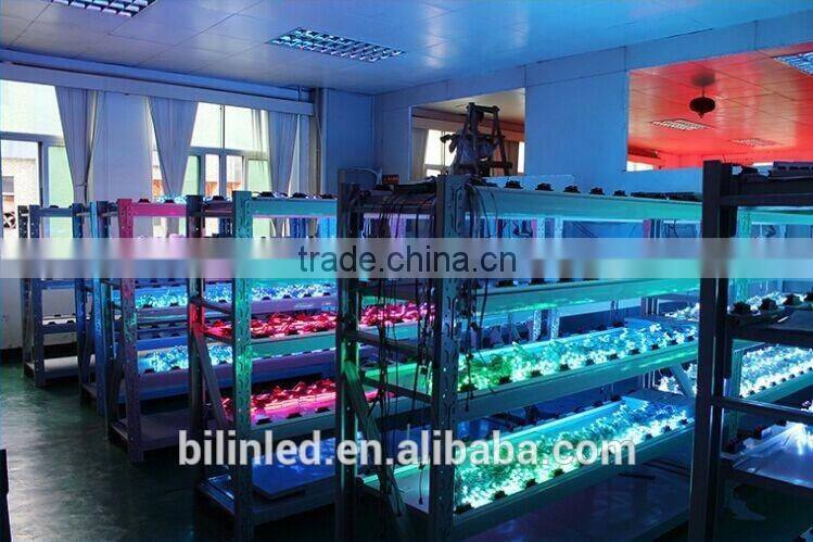 Outdoor channel letter waterproof 12mm rgb led pixel light with best price