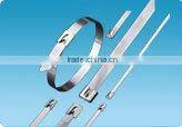 Supply chinl brand 304 stainless steel cable Ties 7.9*300(ISO9001 UL)