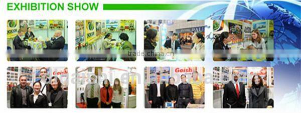 Zero Calorie And Sugar Wholesale Amorphophallus Konjac Noodles Konjac Konts