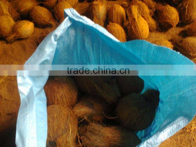 semi husked coconuts !!! Bulk order !!!