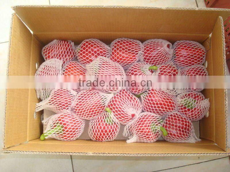 CHINESE Fresh color pepper (2012crop)