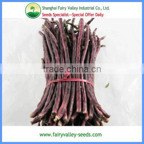Chinese High Yield Long Green Asparagus Bean Seeds Cowpea Seeds For Sale