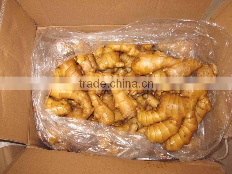 2014 CROP FRESH GINGER FROM VIETNAM