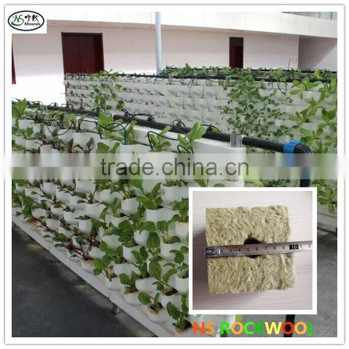 Rock wool cubes for hydroponics seed starting and plants growing