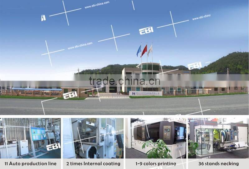 Aluminum 330ml beer bottle costume with beautiful logo