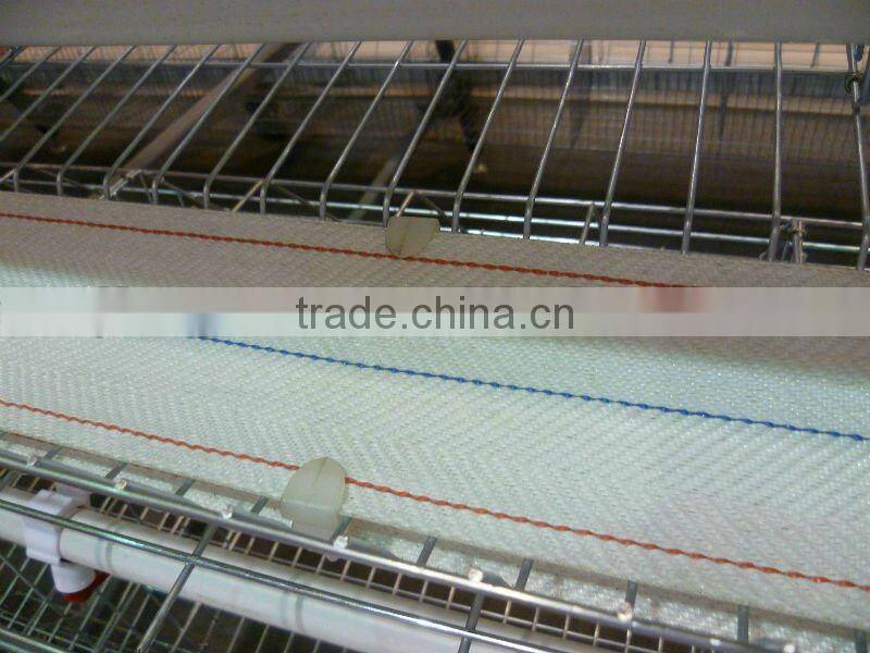 egg collecting machine for chicken farm