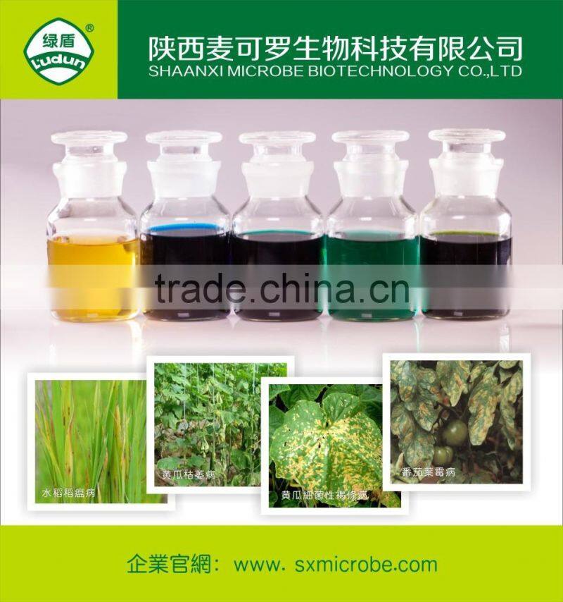 Hot pesticide/fungicide kasugamycin 4%SL
