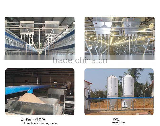 Factory hot-sale high quality layer quail cages for sale in poultry farm