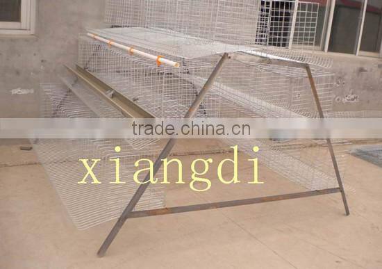 Layer Egg Chicken Cage/Poultry Farm House Design