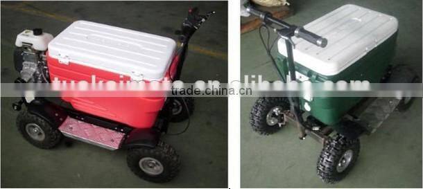 43cc EPA approved gasoline refrigerator scooter/cooler box scooter for adult (TKS-S43)