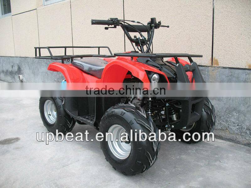 NEW DIRT AUTO QUAD BIKE ATV BUGGY 110cc PEEWEE CYCLONE