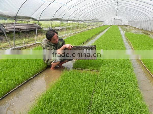 Latest Fashion Best Choice rice seedling tray