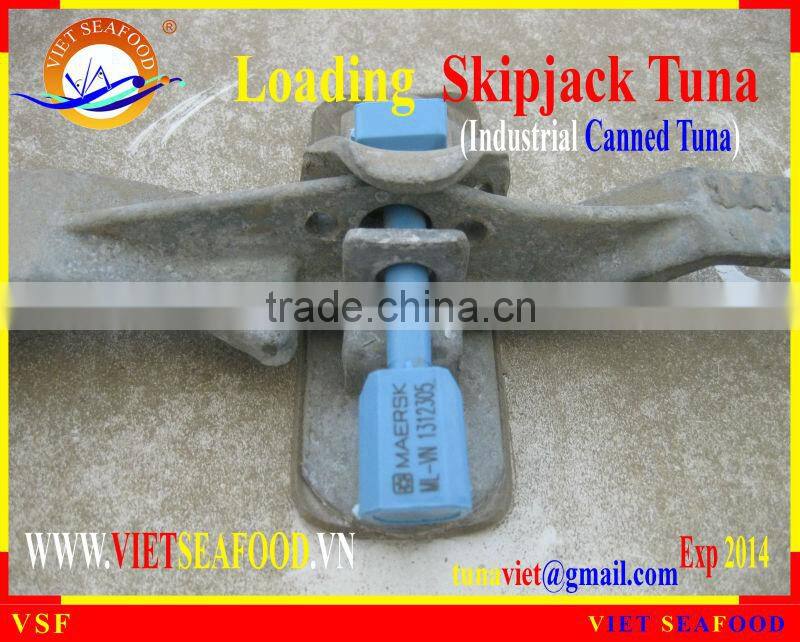 LOADING FROZEN SKIPJACK TUNA W/R