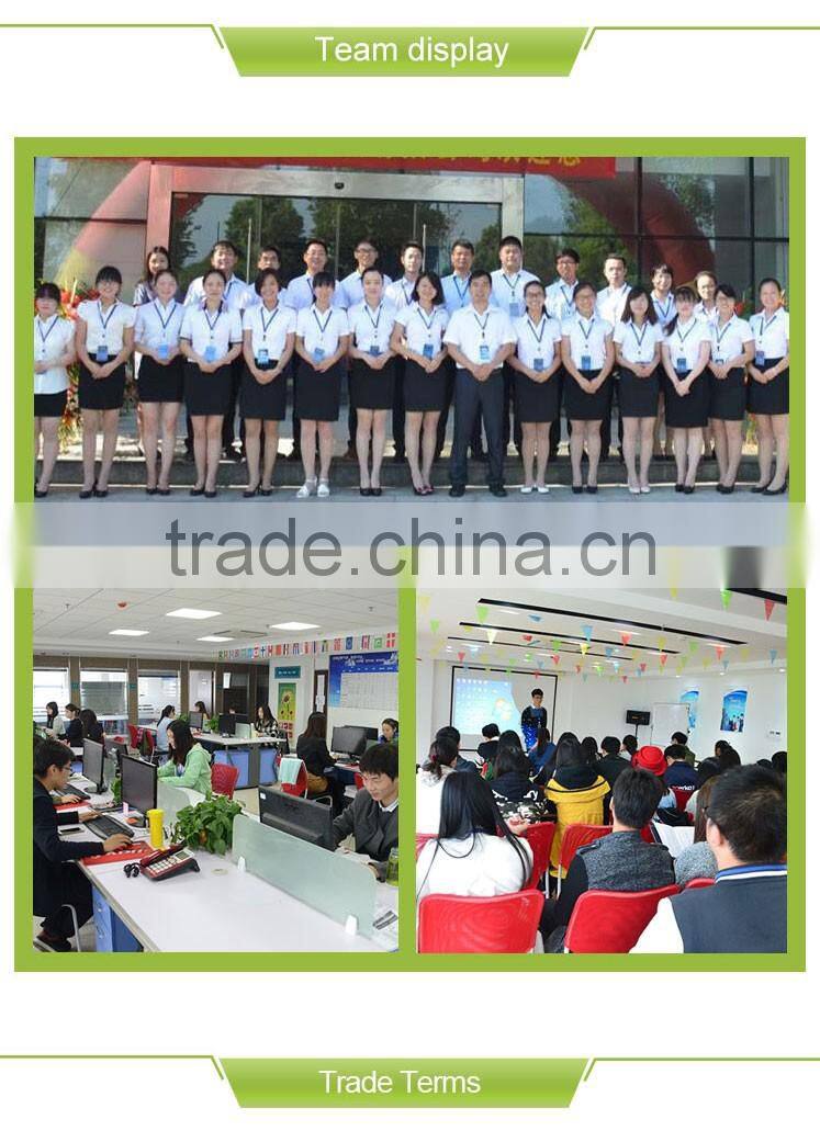 Corona ice dutch paintbucket